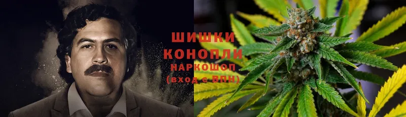 Конопля OG Kush  Дагестанские Огни 